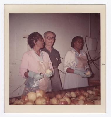 Sorting through yellow onions at VITA Foods