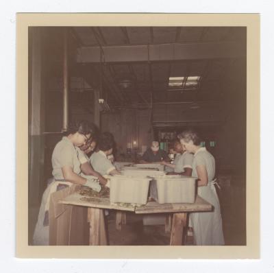Women employees sorting through pickles at VITA Foods
