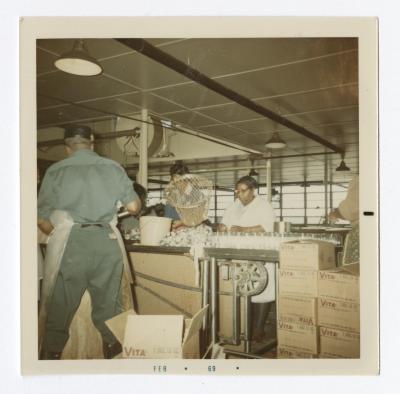 Packing fish at VITA Foods 1969 February