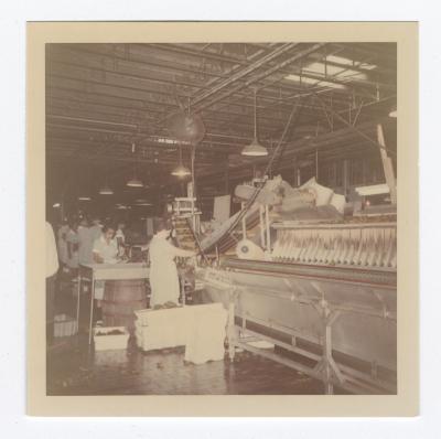VITA Foods production line