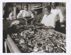 Picking crab
