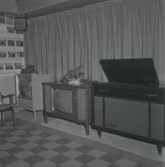 Commodore's Electric interior showroom