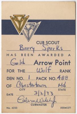 Barry Sparks Boy Scout award