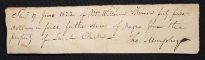Hiring agreement for enslaved man Jim between William Skinner and Thomas Murphy